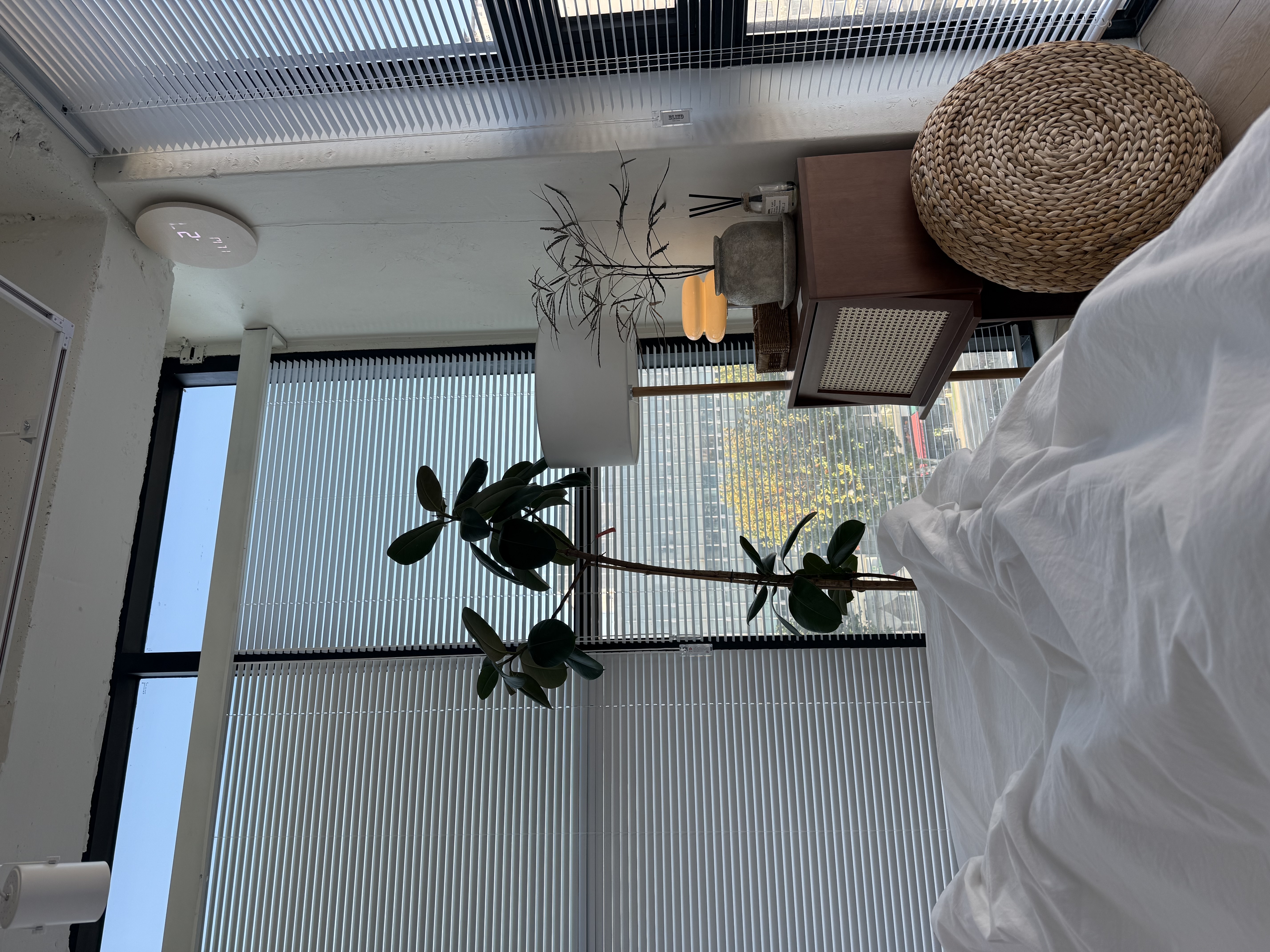 숨쉼제니 공간 3