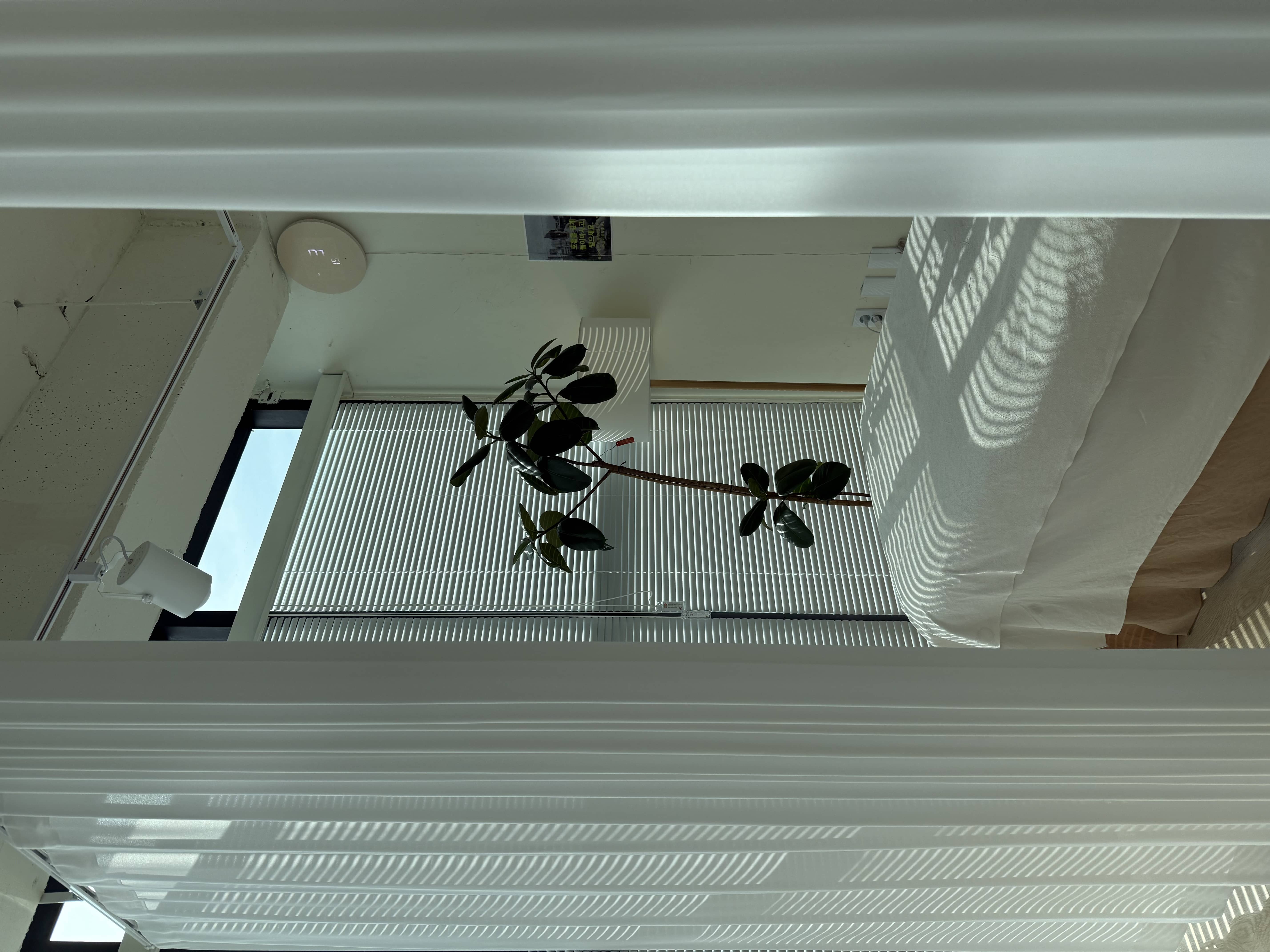 숨쉼제니 공간 7